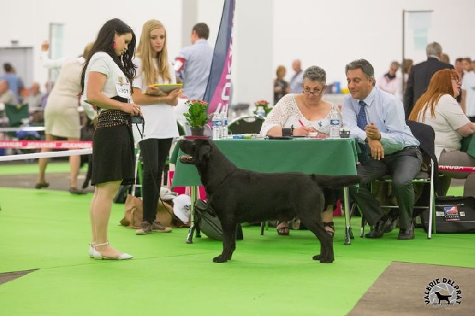 Gentleman aux Championnats de France à Dijon